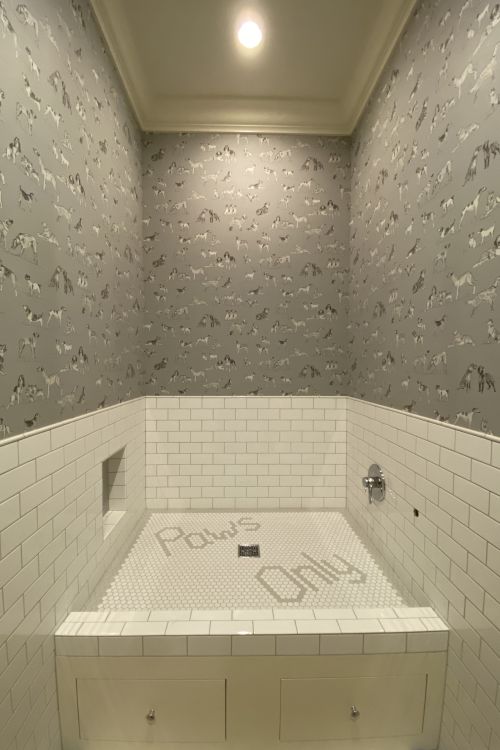 Tiled walls and floor with Paws Only on the floor